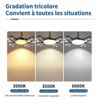Ventilateur de Plafond à Douille E27 - Noir