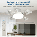 Ventilateur de Plafond à Douille E27 - Noir